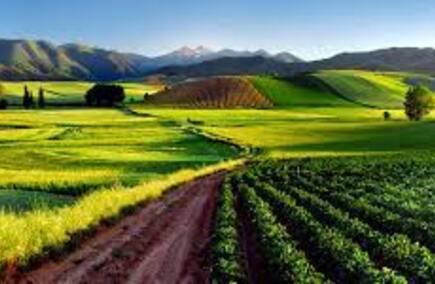 Mejores Gastronomías y Hostelerías en La Rioja