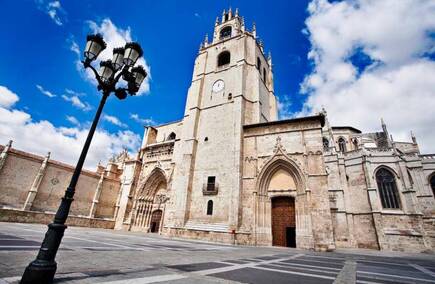 Gastronomías y Hostelerías en Palencia: Lo Mejor