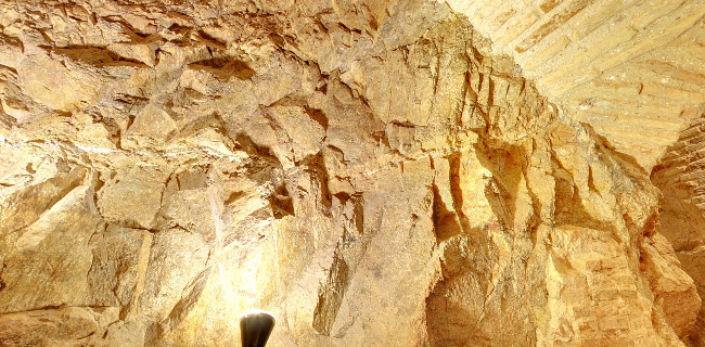 Botanic Bar Legendario - Gastronomía y hostelería