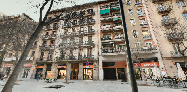 Bare Nostrum Bar Coctelería Gintoniquería - Barcelona