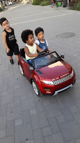 Donghua House - Madrid