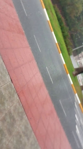 Comentarii opinii despre Big House