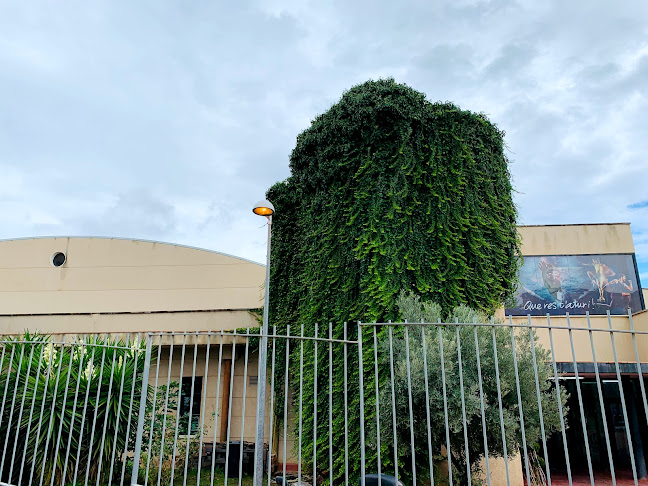 Carrer de Berenguer, 4, 08930 Sant Adrià de Besòs, Barcelona