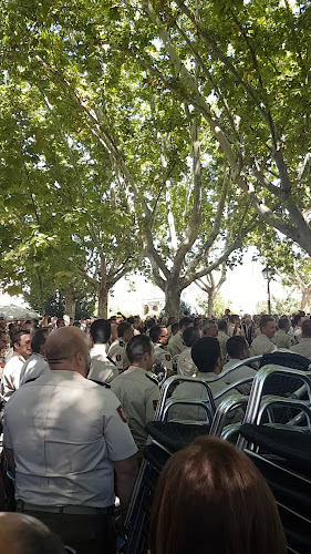 Restaurante La Plaza - Gastronomía y hostelería