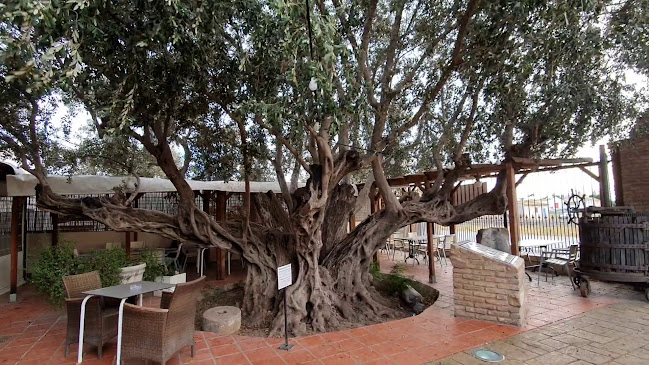 Lluna de València Restaurant - Gastronomía y hostelería