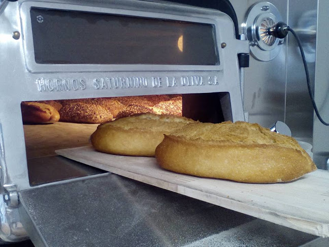 El Mastrén Pan Ecológico Open Times