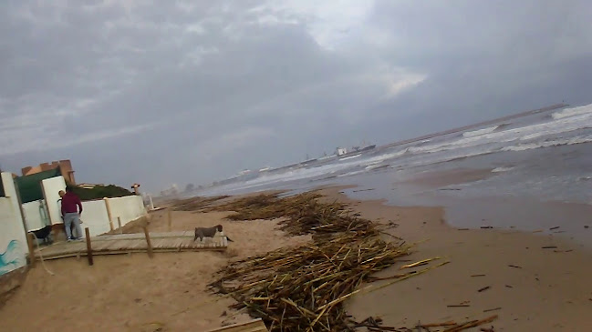 Opinii despre Heladería RIO 2.0 cerveceria în Daimús - Gastronomía y hostelería