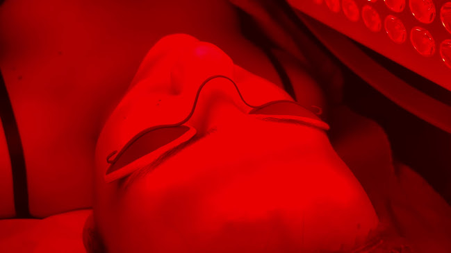 Bar Jamonería Norte Sur