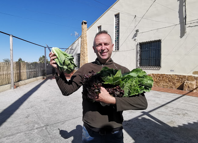 Casa de la Palmera - Valencia