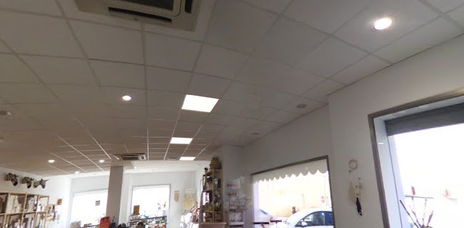 Gómez Savall, JV - Oliva