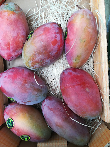 Bar Jardín - Gastronomía y hostelería