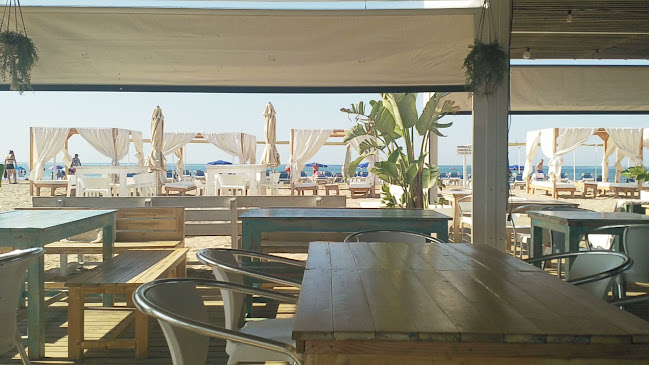 HABANA BLUE CHIRINGUITO Open Times