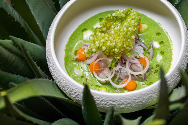 Reviews of Quispe in Madrid - Gastronomía y hostelería