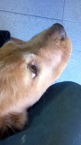 Pizzeria Tredici Getxo