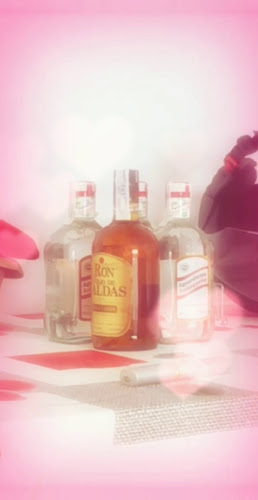 C/ d'Enrique Monsonís Domingo, s/n, 03013 Alacant, Alicante