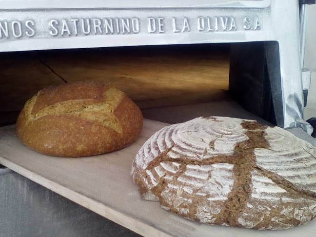 El Mastrén Pan Ecológico