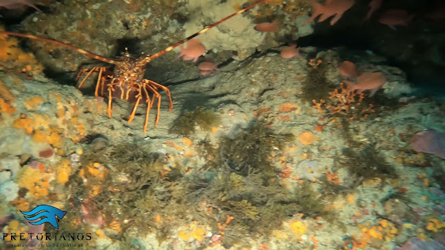 Reviews of Mesón Casa Paco in Sevilla - Gastronomía y hostelería