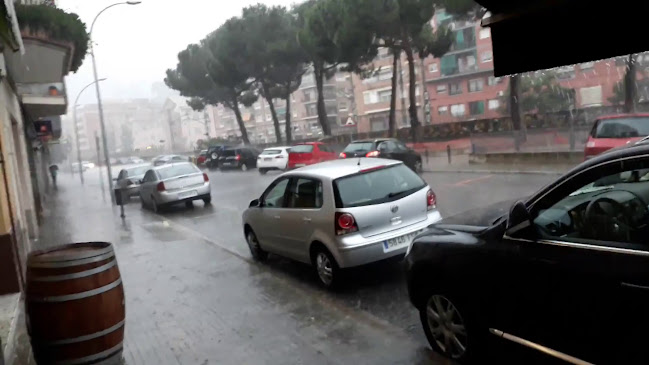 Comments and reviews of Frankfurt Edelweiss