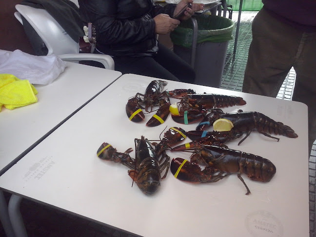 Bar Los Guindos - Gastronomía y hostelería