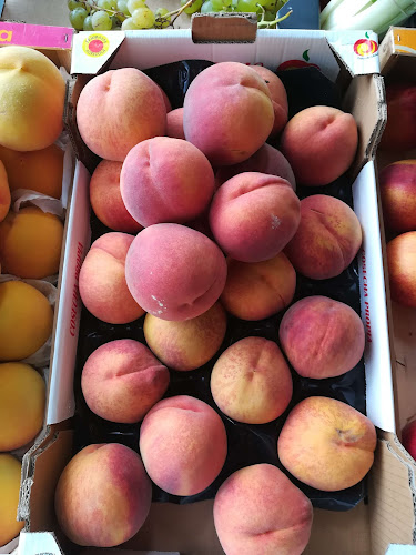 Bar Jardín Open Times