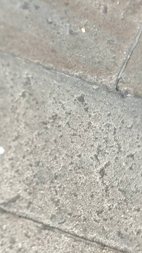 Restaurante San Clemente - Gastronomía y hostelería