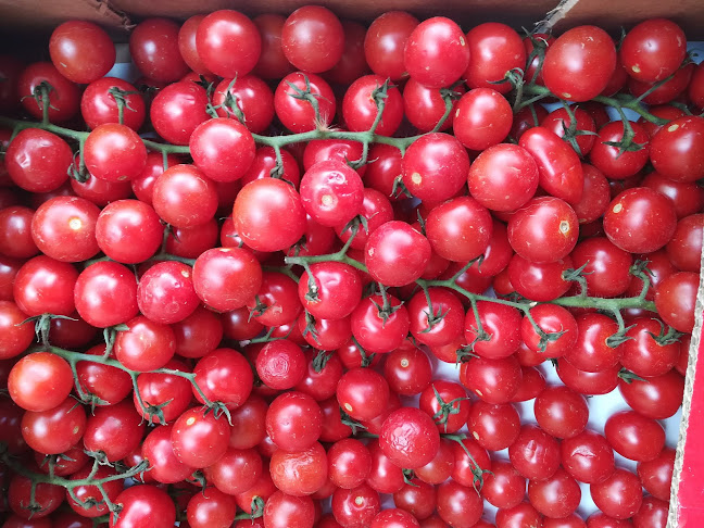 Comments and reviews of Bar Jardín