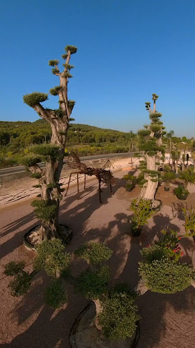 Restaurante Ca Aleix - Gastronomía y hostelería