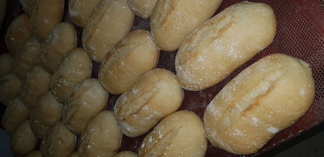 Panadería Ortega Phone number