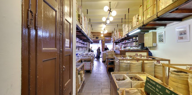 Casa Perris Azafrán