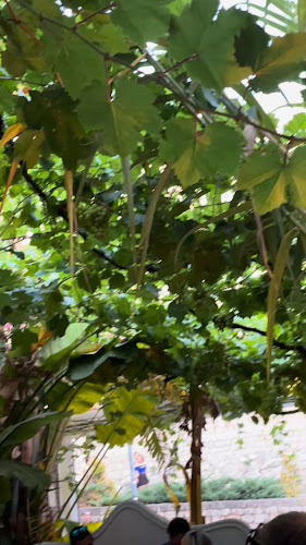 La Brasa de Ibiza Open Times