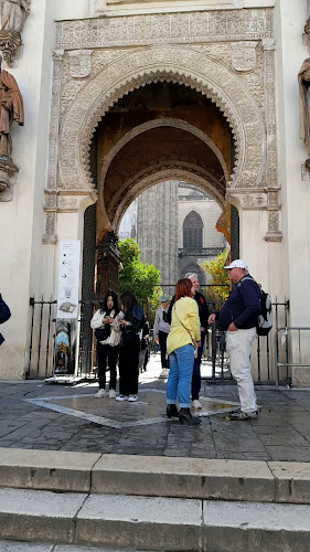 C. Alemanes, 13, Casco Antiguo, 41004 Sevilla