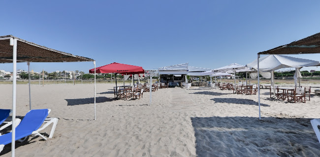 HABANA BLUE CHIRINGUITO - Gastronomía y hostelería