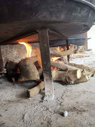 Casa de la Palmera - Gastronomía y hostelería