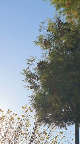 Opinii despre Petanca Parets în Parets del Vallès - Gastronomía y hostelería