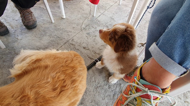 Reviews of 3 de Octubre in Polinyà - Gastronomía y hostelería