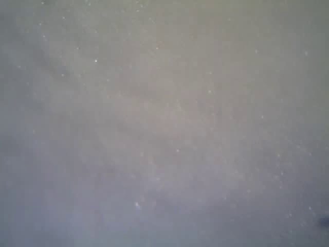 El Comerç del Mallol | Montblanc - Montblanc