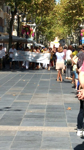 Reviews of Celler 36 bis in Vilanova i la Geltrú - Gastronomía y hostelería