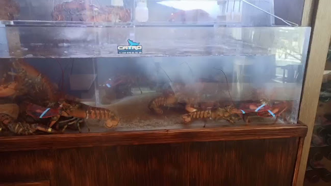 Cafeteria restaurante Yunke