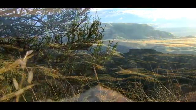 Panadería la Espiga de Bácor - Bácor
