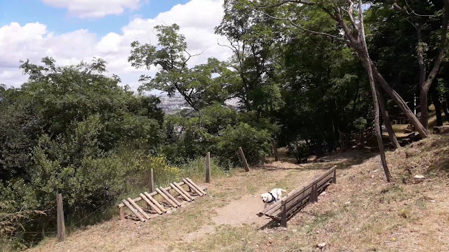 Panet Maduixa - Forn de Pa, Pastisseria i Cafeteria - Sant Boi de Llobregat
