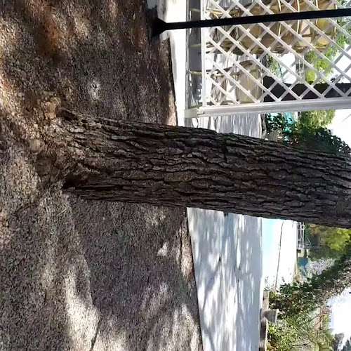 Comentarii opinii despre Restaurante Finca Maravisa