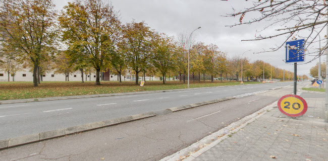 Bapo Tortillas & Bokatas - Gastronomía y hostelería