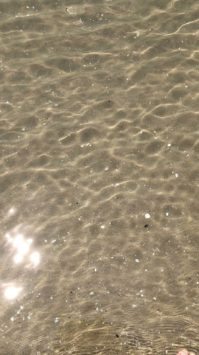 Restaurante EL TIMÓN comida mediterranea arroceria terraza frente al mar Phone number