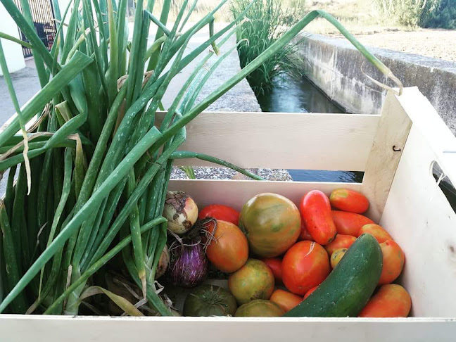 Casa de la Palmera - Valencia