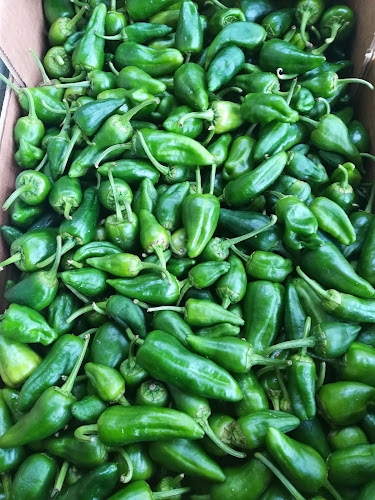 Reviews of Bar Jardín in Barcelona - Gastronomía y hostelería