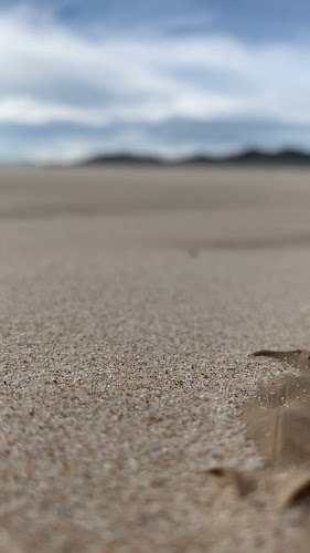 Restaurante EL TIMÓN comida mediterranea arroceria terraza frente al mar - Gastronomía y hostelería