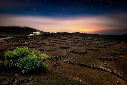 Bebo Vino - Moliá Restauración