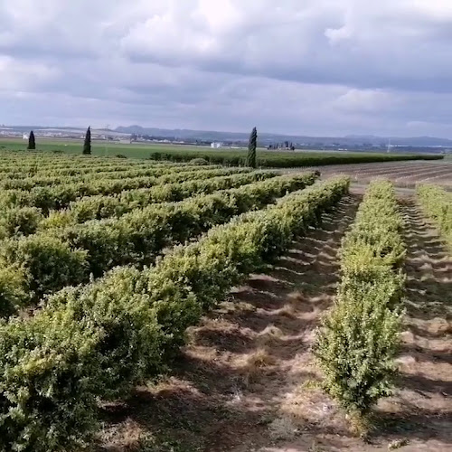 Reviews of Encomendero in Tocina - Gastronomía y hostelería