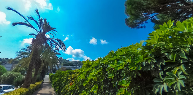 Opinii despre Tempo de l'Hort în Cabrils - Gastronomía y hostelería