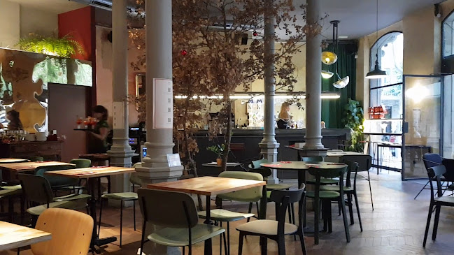 Bocca di Bonifacio | Tetuan Open Times